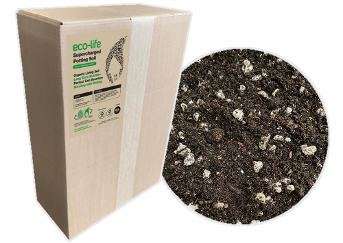 Ecothrive Living Soil, UK made, 50l premium super soil in a box. Best Living soil available.